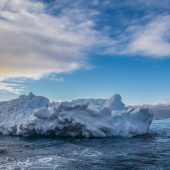 Investigación Antártica: 4 días de ciencia en el mar de Drake que impactan la protección de ecosistemas